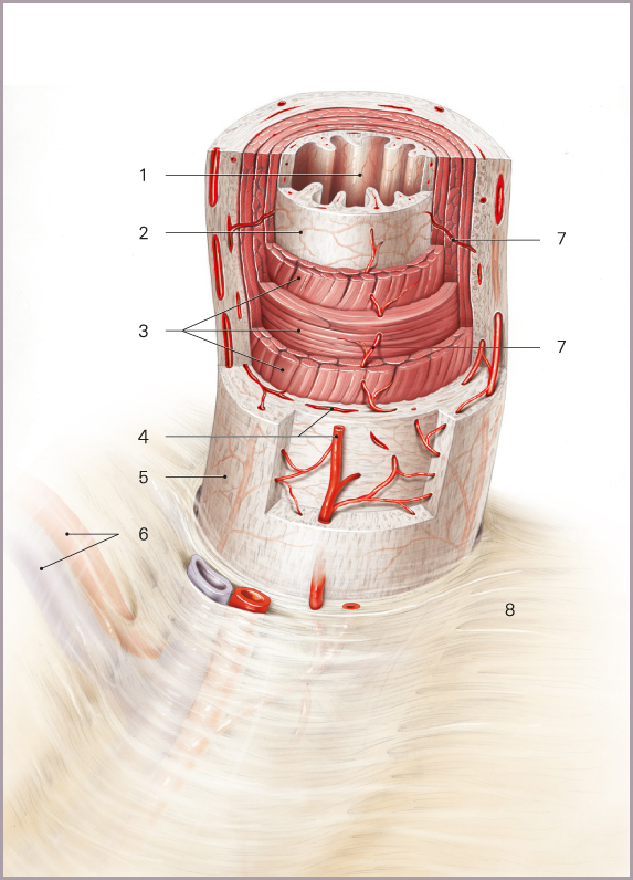 Please, activate JAVAScript